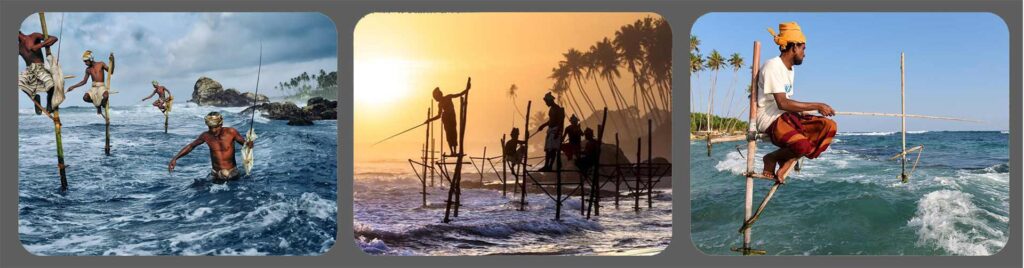 Stilt Fishermen