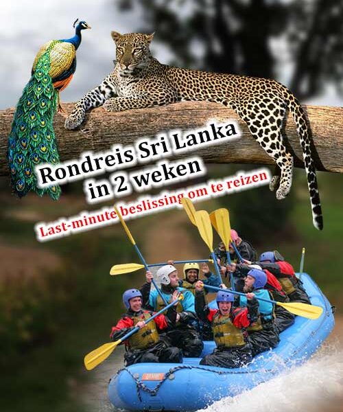 Rondreis Sri Lanka in 2 weken