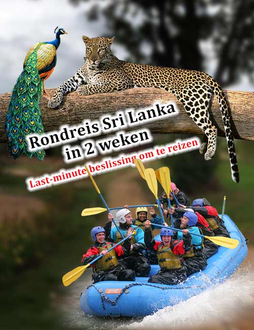Rondreis Sri Lanka in 2 weken
