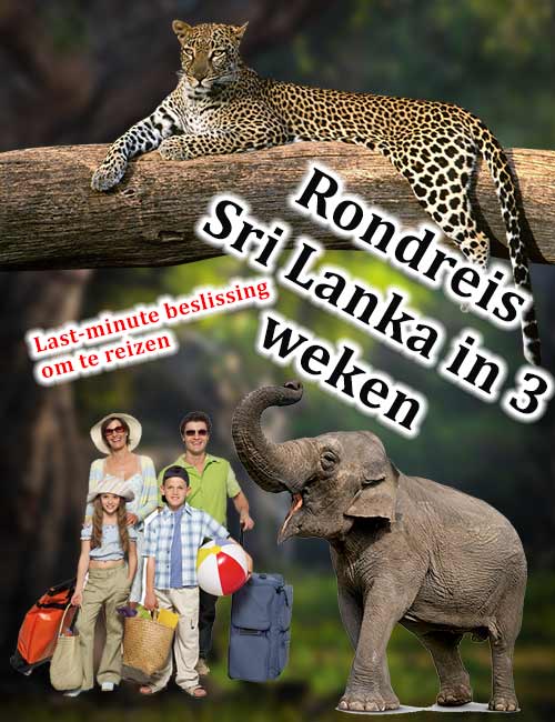 Rondreis Sri Lanka in 3 weken