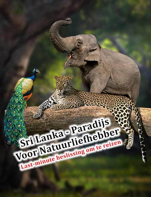 Sri Lanka - Paradijs Voor Natuurliefhebber