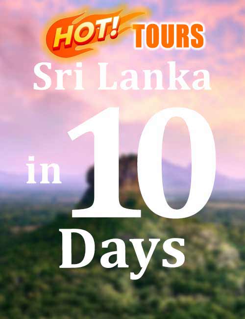 Best Selling 10 Days tour in Sri Lanka