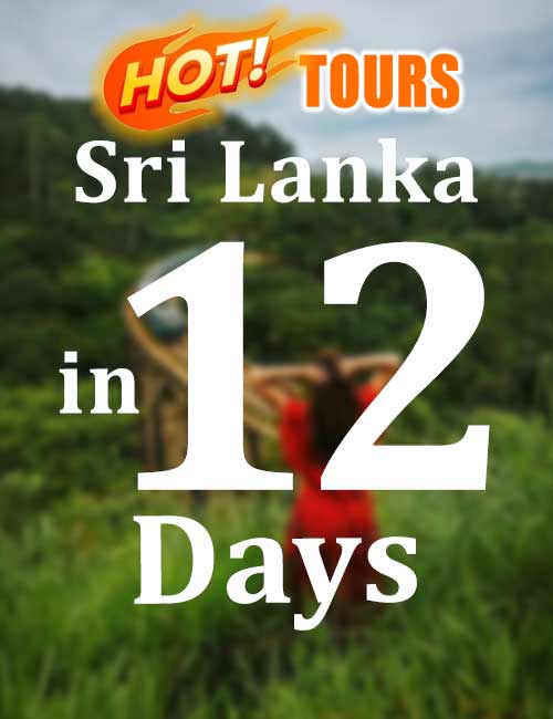 Best Selling 12 Days tour in Sri Lanka