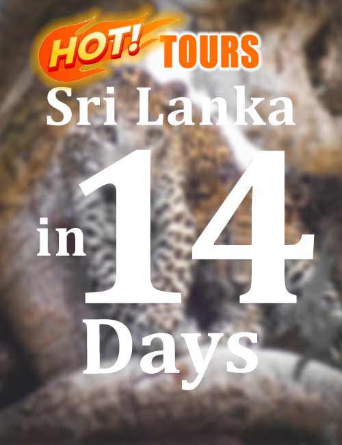 Best Selling 14 Days tour in Sri Lanka