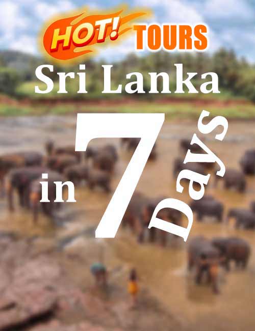 Best Selling 7 Days tour in Sri Lanka