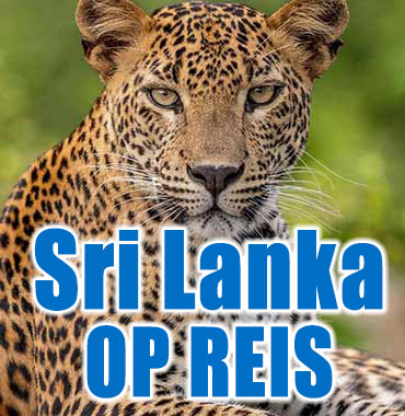 Sri Lanka op reis