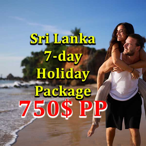 Coastal Adventure: Beaches, Wildlife, and Culture | Best 07 Day Tour in Sri Lanka