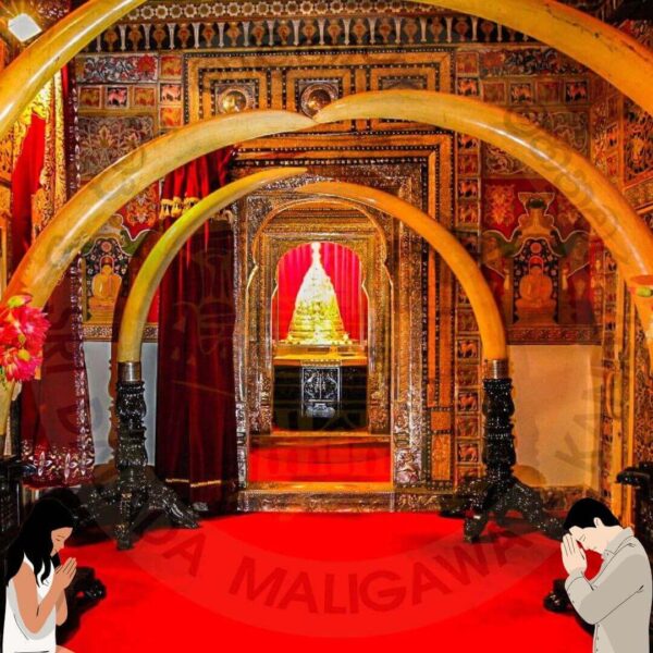 Sacred Sri Dalada Vandanawa 2025: A Rare Chance to Witness the Sacred Tooth Relic of Lord Buddha